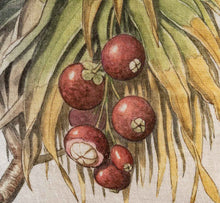 Charger l'image dans la galerie, Coussin carré en lin "Perroquets"